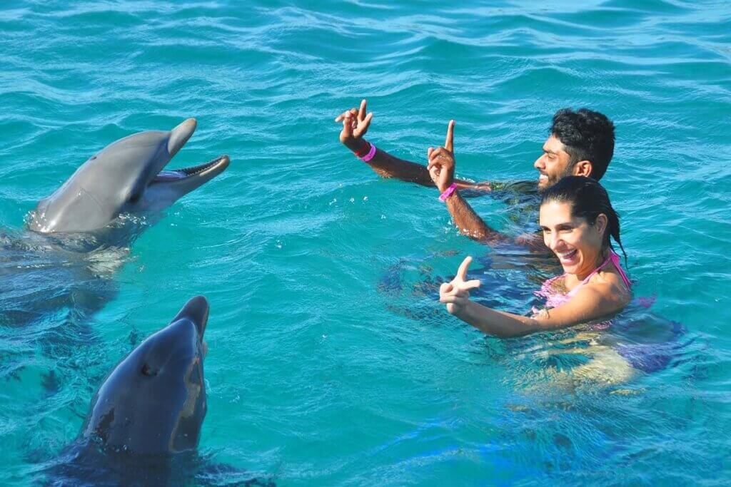 Personen schwimmen mit Delfinen im Wasser