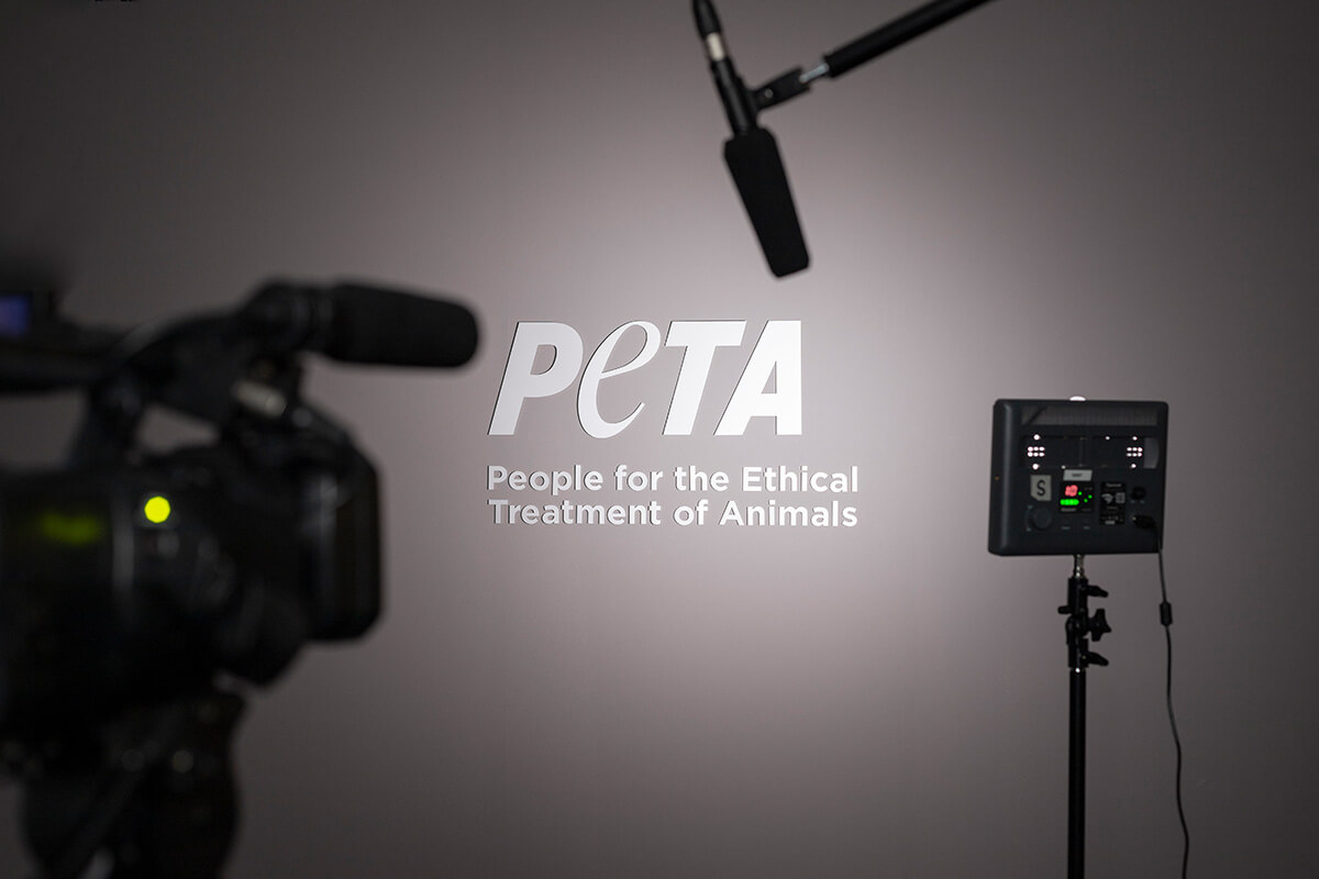 Kamera vor Leinwand mit PETA Logo