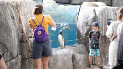 Frau fotografiert Kind neben einem Pinguin im Zoo