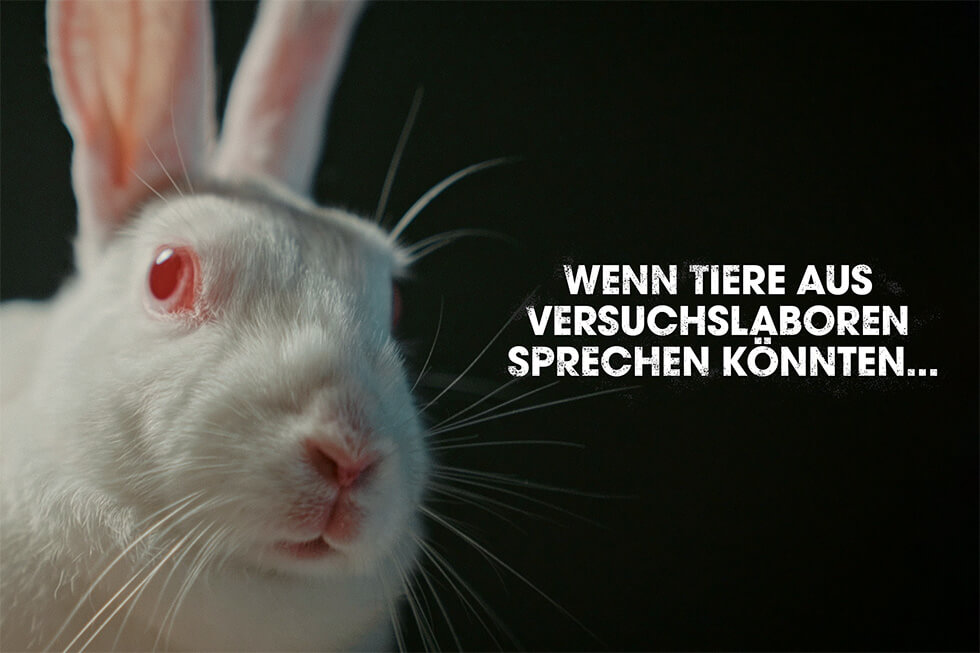 Video Thumbnail mit Hase