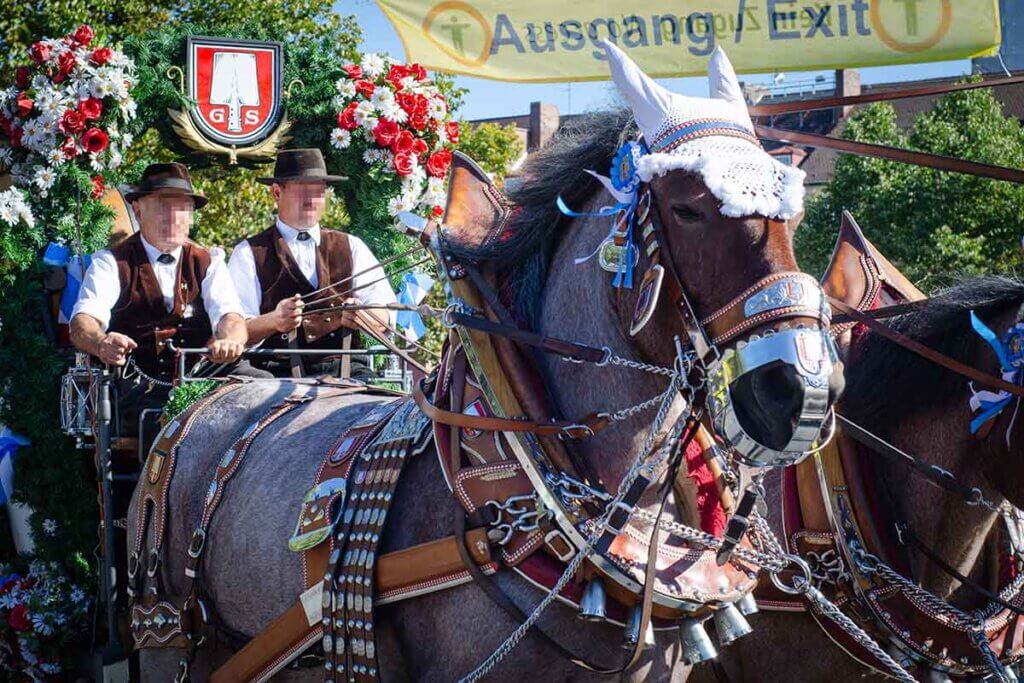 pferdekutsche
