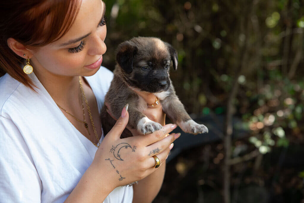 Nikasofie mit Hund