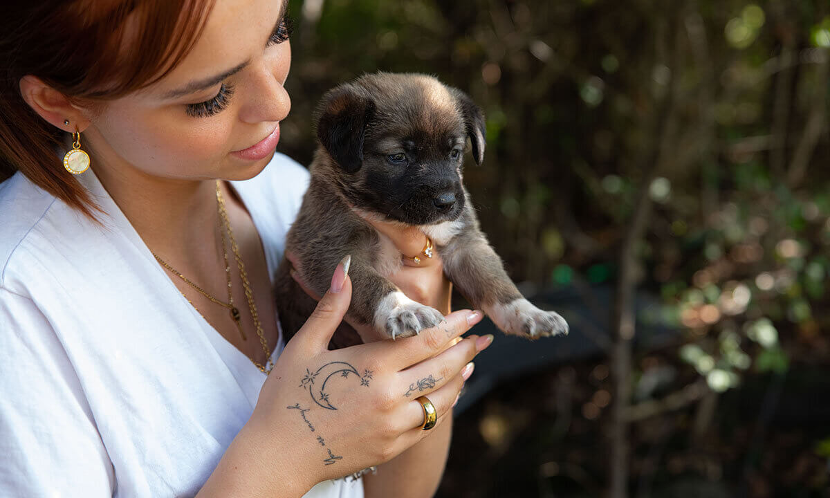 Nikasofie mit Hund