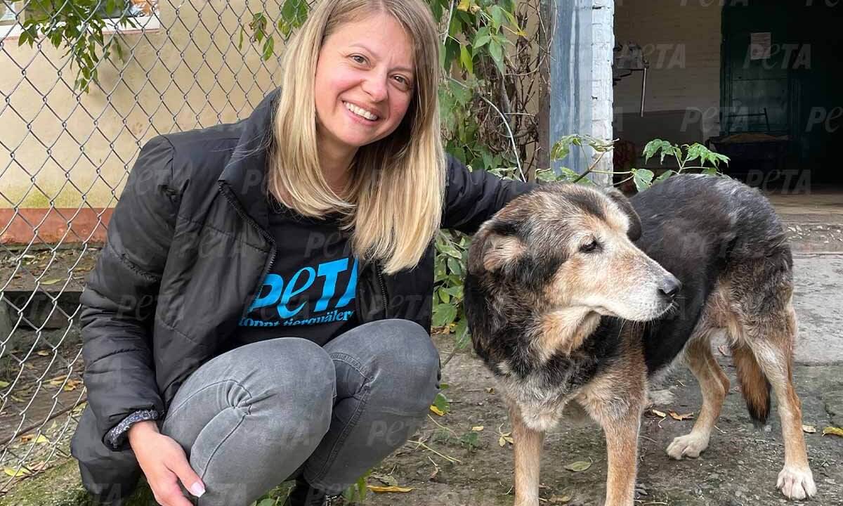 Geretteter Hund aus Kiev Ukraine