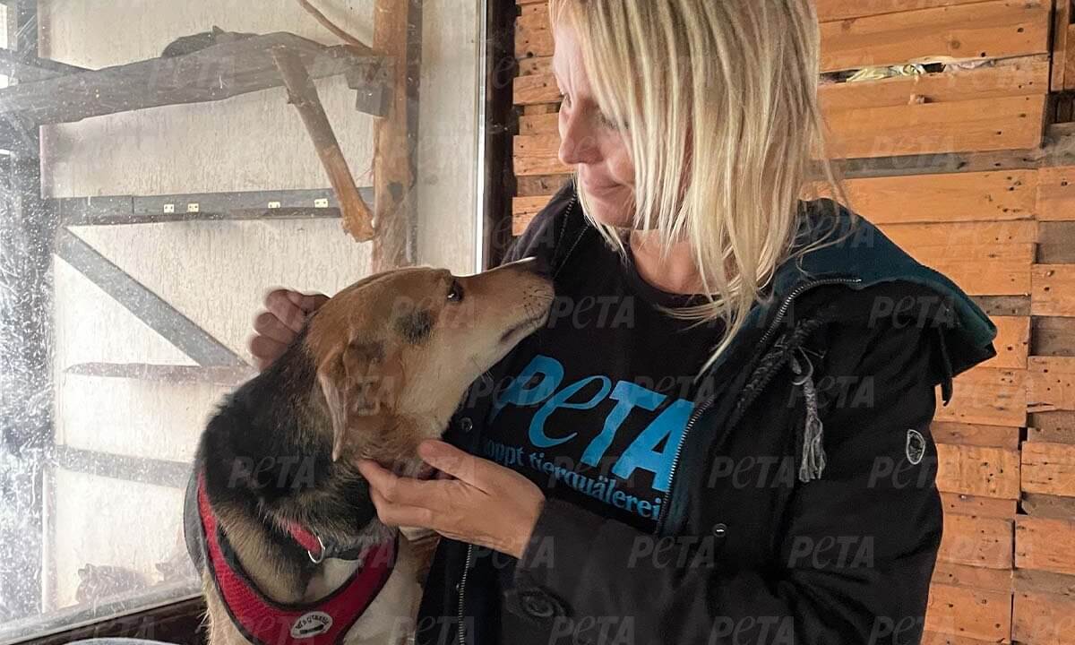 Geretteter Hund aus Kharkiv Ukraine mit PETA Mitarbeiterin