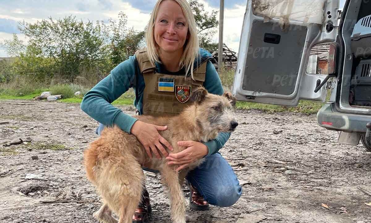 Geretteter Hund aus der Ukraine