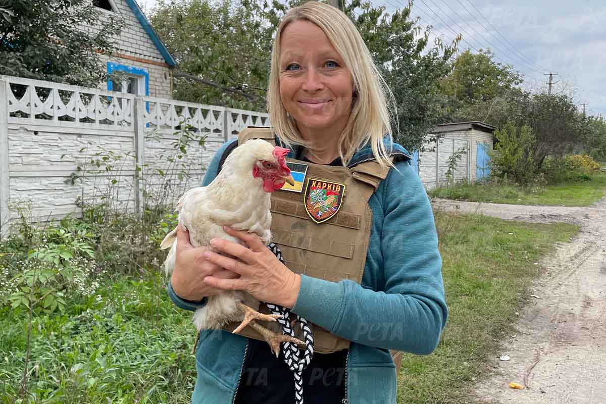 Gerettetes Huhn aus der Ukraine