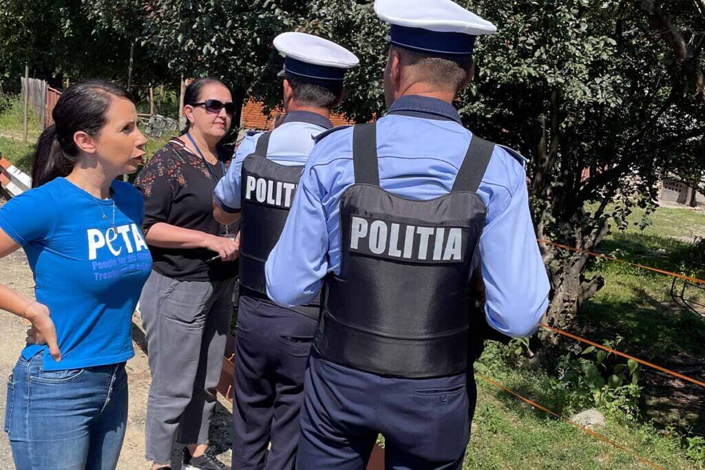 PETA Mitarbeiterin mit rumaenischer Polizei im Einsatz