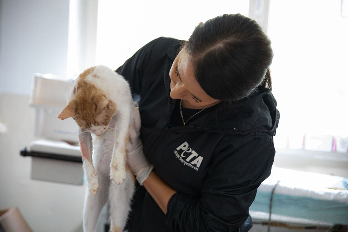 PETA Mitarbeiterin haelt Katze im Arm