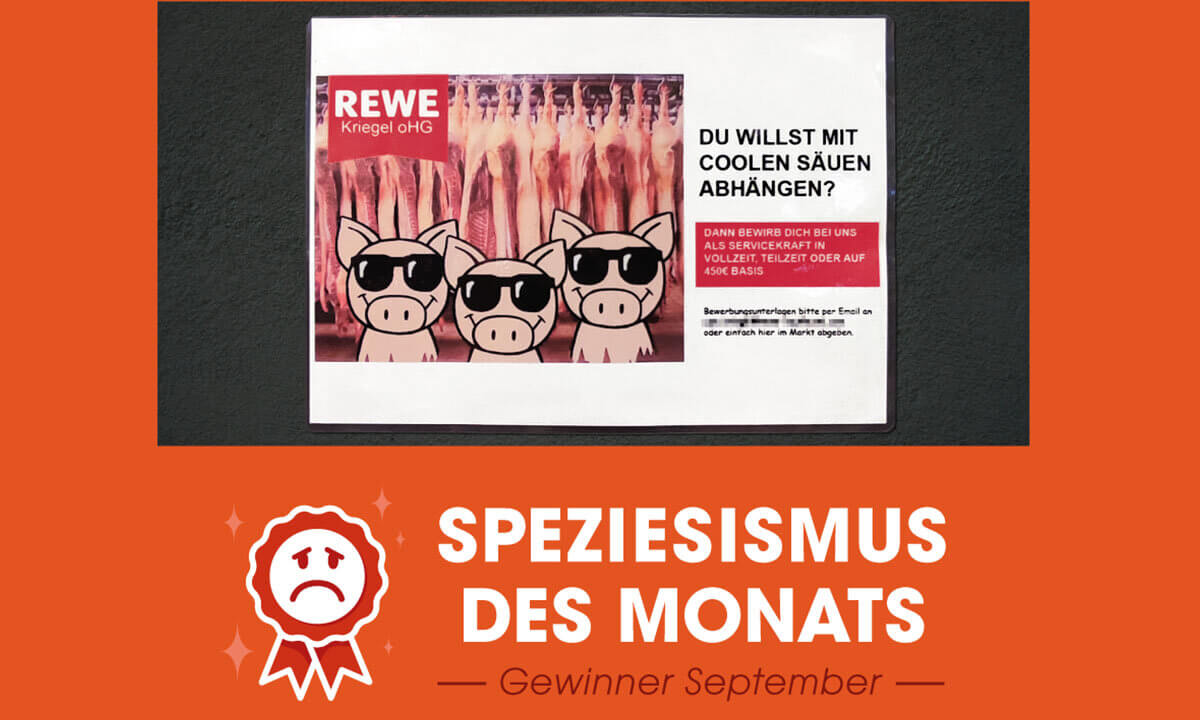 Speziesismus des Monats September