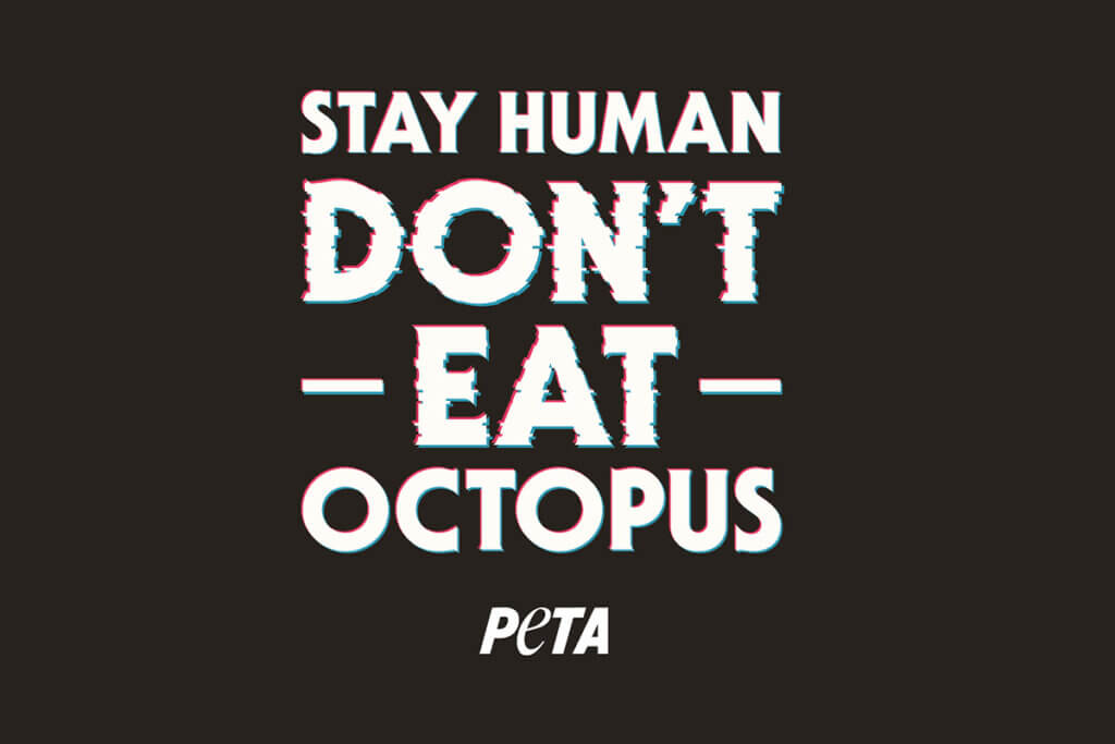 Halloween Video PETA