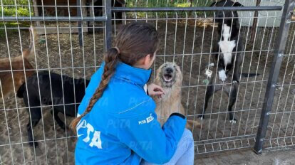 PETA Mitarbeiterin streichelt gerettete Hunde