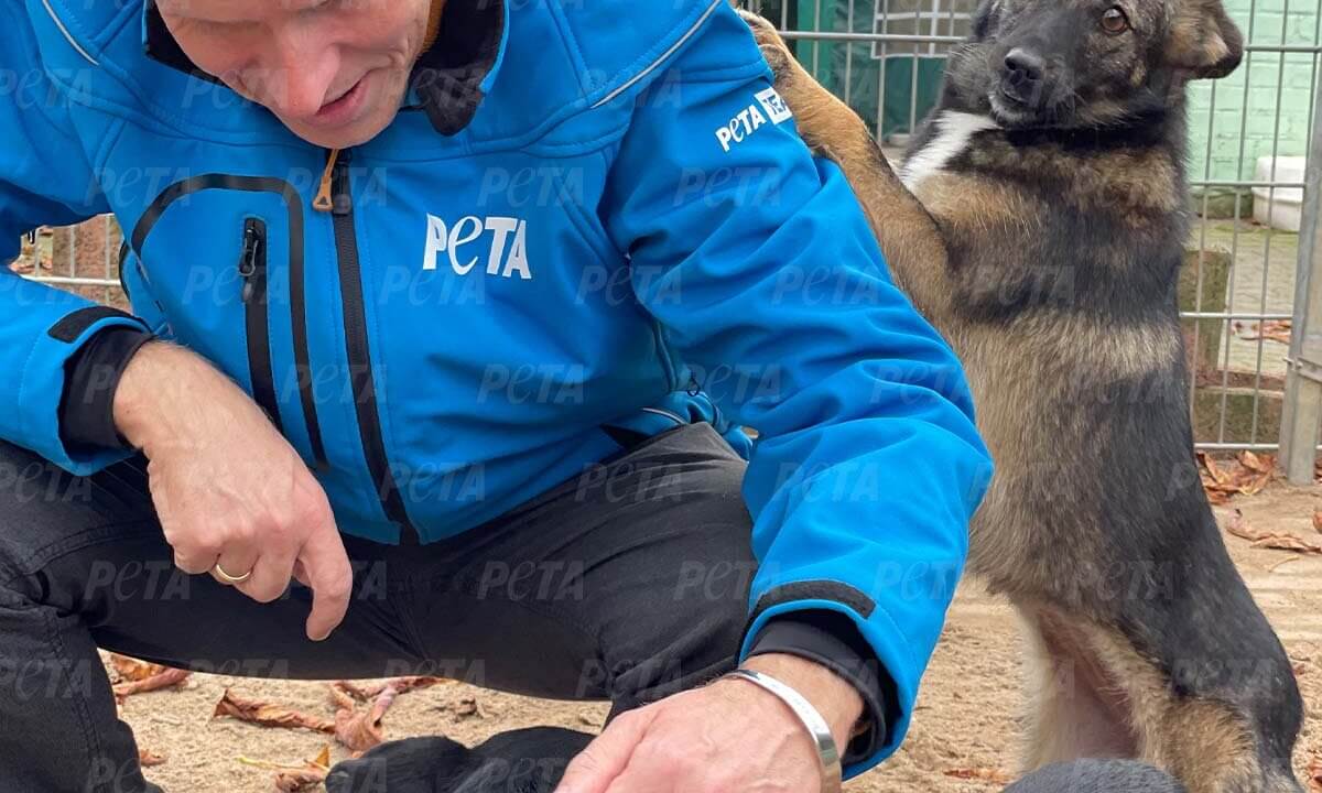 PETA Mitarbeiter streichelt Hund