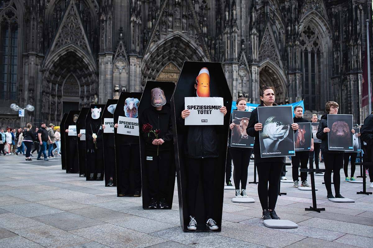 Speziesismus Aktion Köln