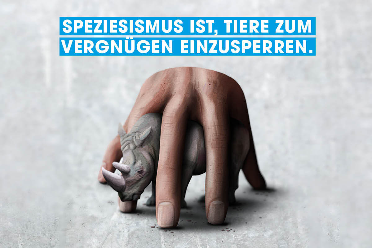 Grafik. Nashorn in einer Hand eingesperrt. Titel: Speziesismus ist, Tiere zum Vergnügen einzusperren.
