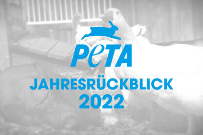 PETA Jahresrueckblick 2022 Titelbild