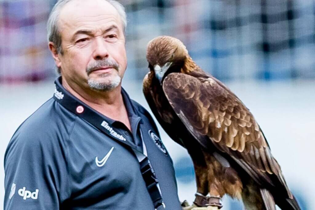 Adler Attila