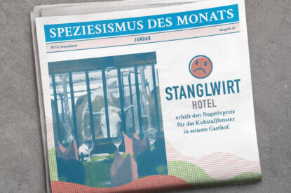 Speziesismus des Monats Stanglwirt Grafik