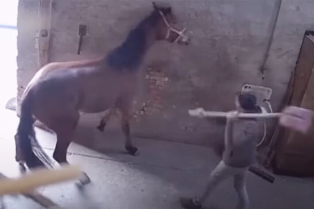 zuechter verprügelt ein pferd