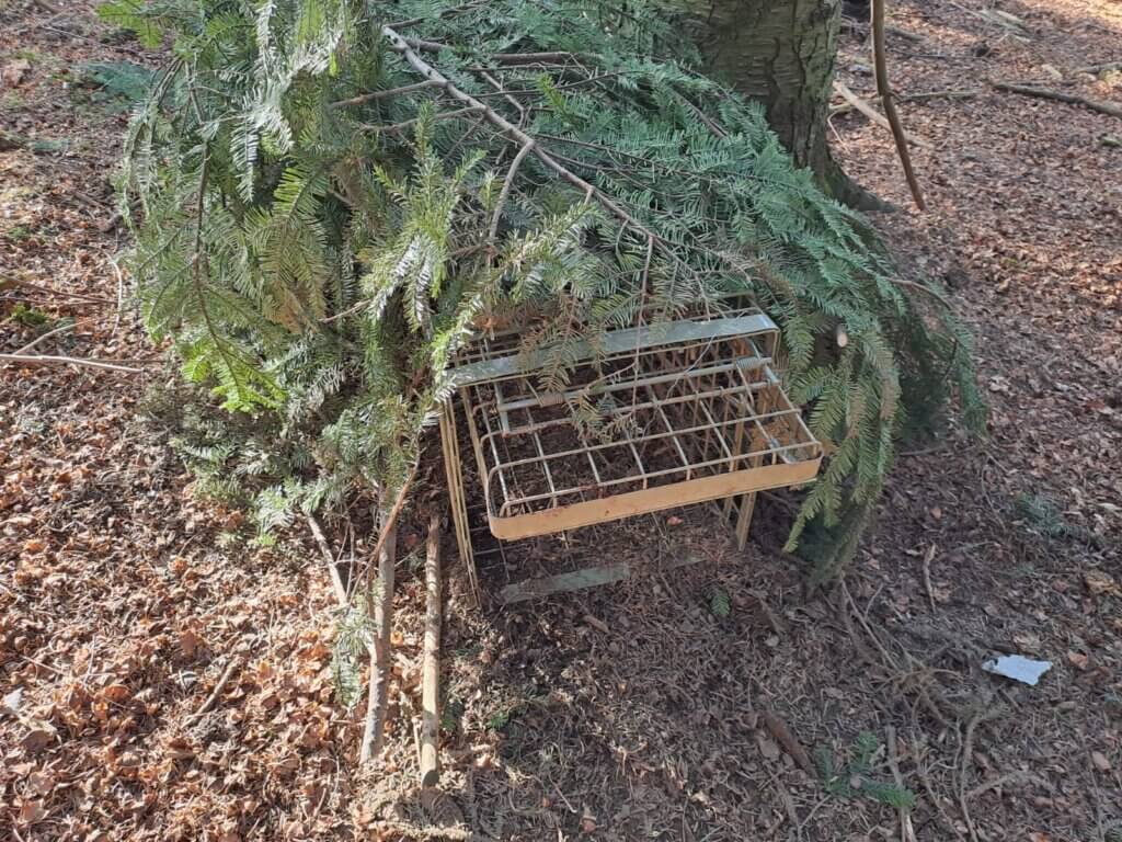 Schlagfalle im Wald