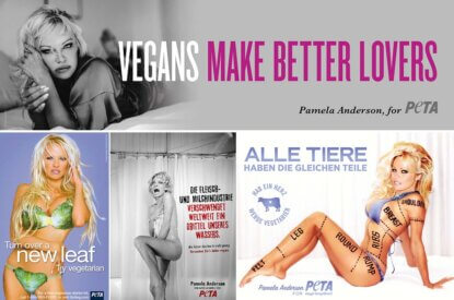 collage pamela anderson