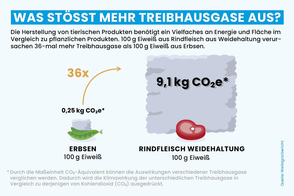 Vergleich Erbse und Fleisch Ressourcenverbrauch