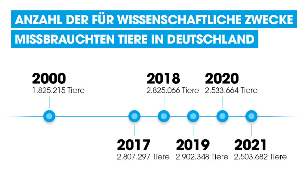 Grafik. Tierversuchszahlen im Zeitstrahl