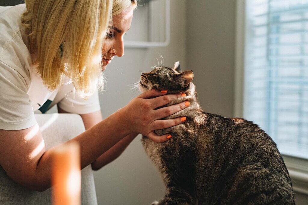 Tierärztin mit einer katze