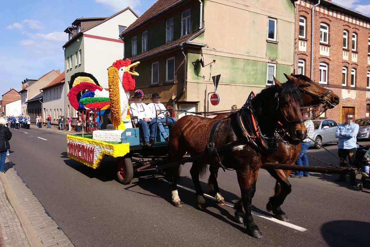Sommergewinn Eisenach: So sehr leiden die Pferde beim Festumzug