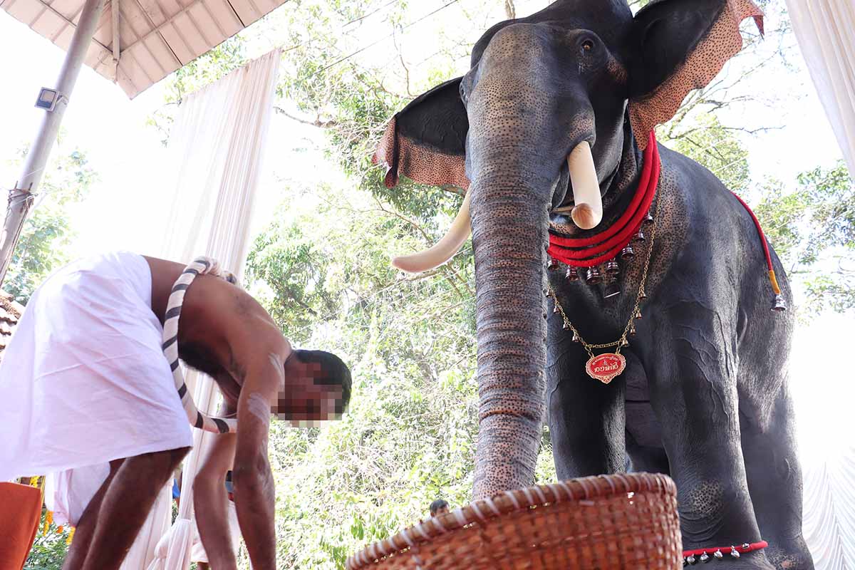 Für weniger Tierleid: PETA Indien spendet lebensechten Roboter-Elefanten für Tempel