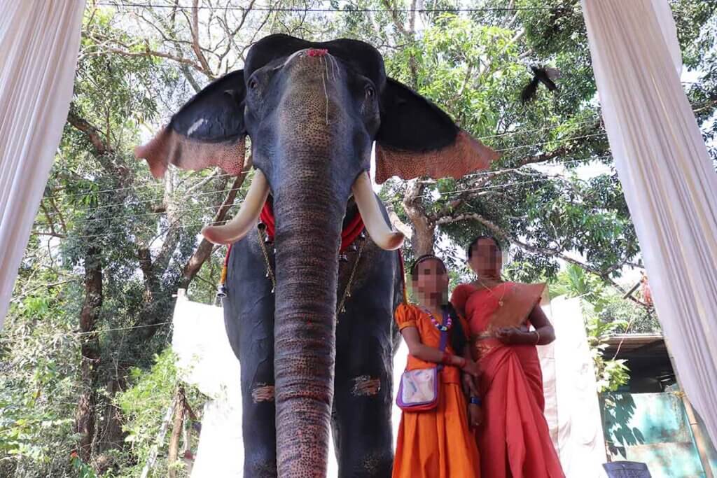 Zwei Frauen machen ein Foto mit einem mechanischen Elefanten.