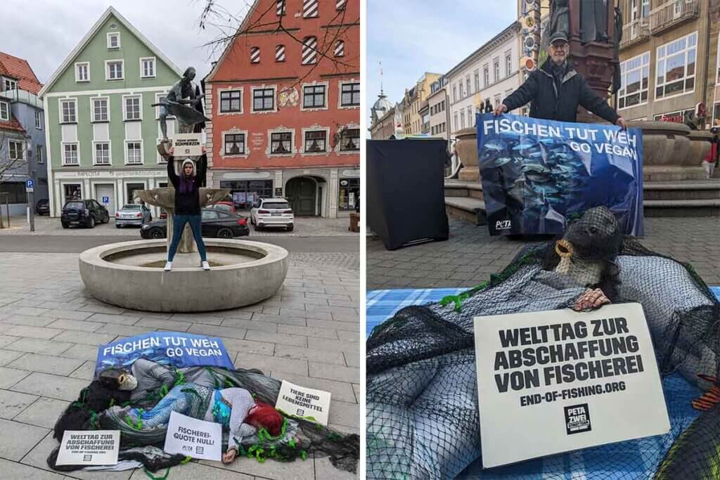 Collage aus zwei Bilder auf denen Menschen gegen die Fischerei demonstrieren.