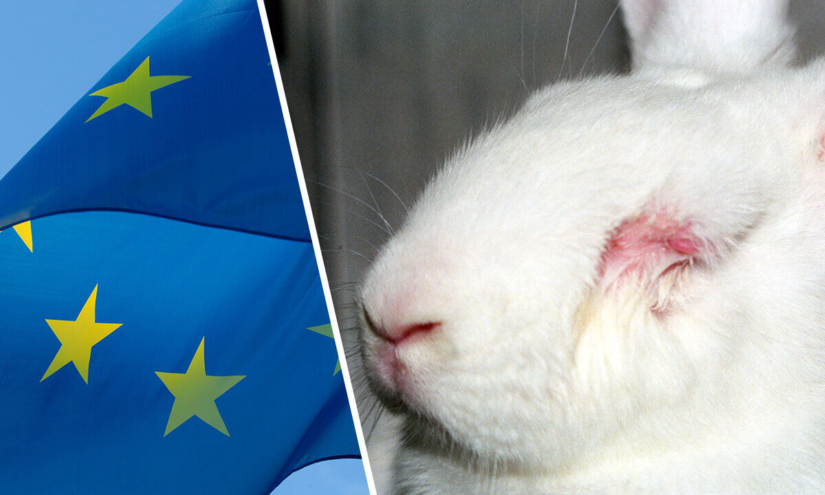 Collage. Links die blaue EU-Flagge mit Sternen weht im Wind. Rechts ein weisses Kaninchen mit geschwollenen Augen aus einem Tierversuchslabor.