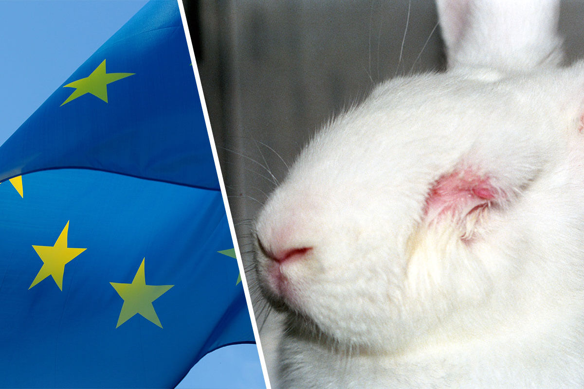Collage. Links die blaue EU-Flagge mit Sternen weht im Wind. Rechts ein weisses Kaninchen mit geschwollenen Augen aus einem Tierversuchslabor.