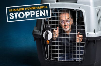 PETA Motiv mit Hugo Egon Balder in einer Transportbox fuer Hunde.