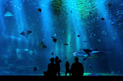 eine familie steht vor einem großen aquarium