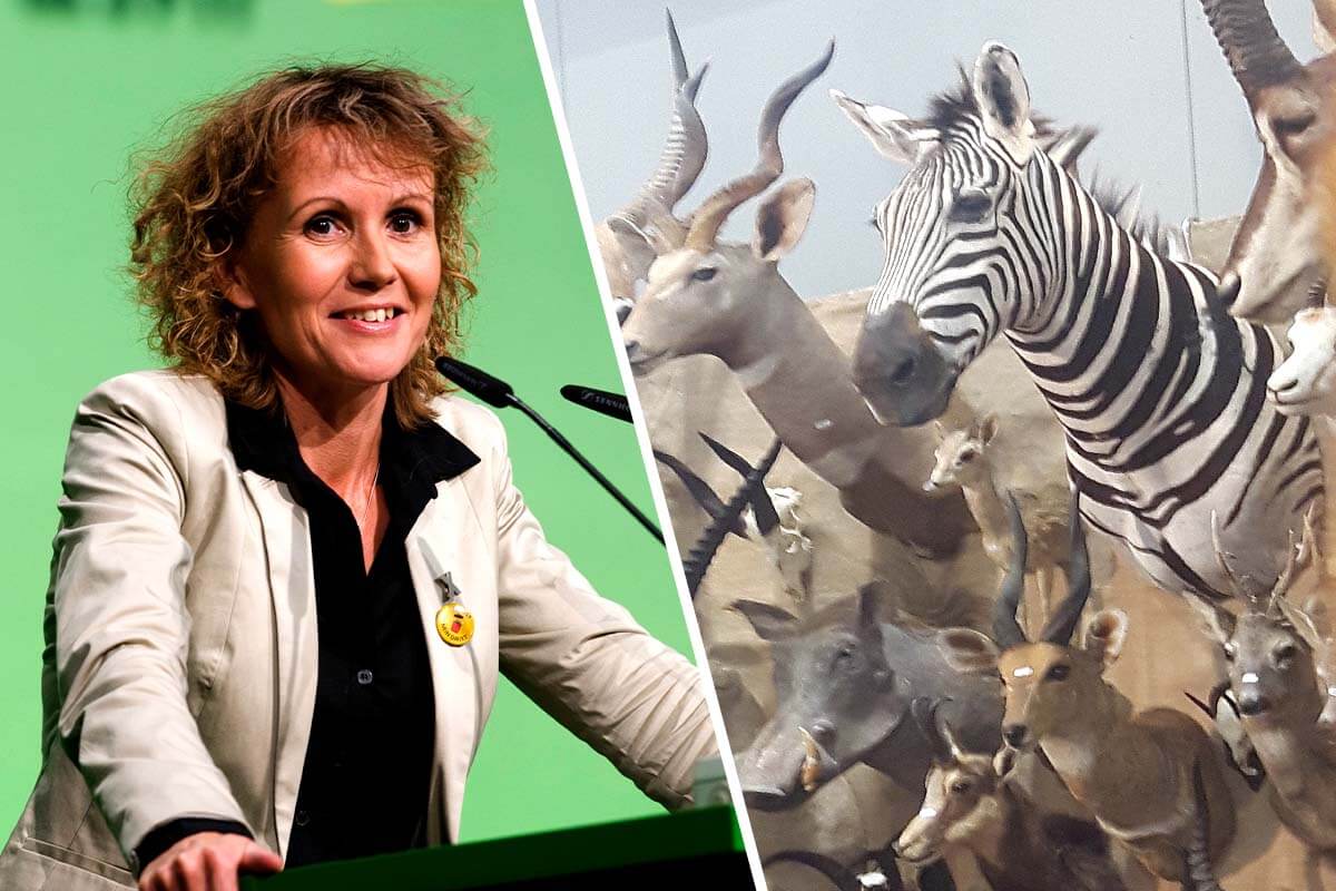 Collage. Links Politikerin Steffi Lemke am Rednerpult. Rechts Jagdtrophaen, diverse Koepfe von Tieren an einer Wand.