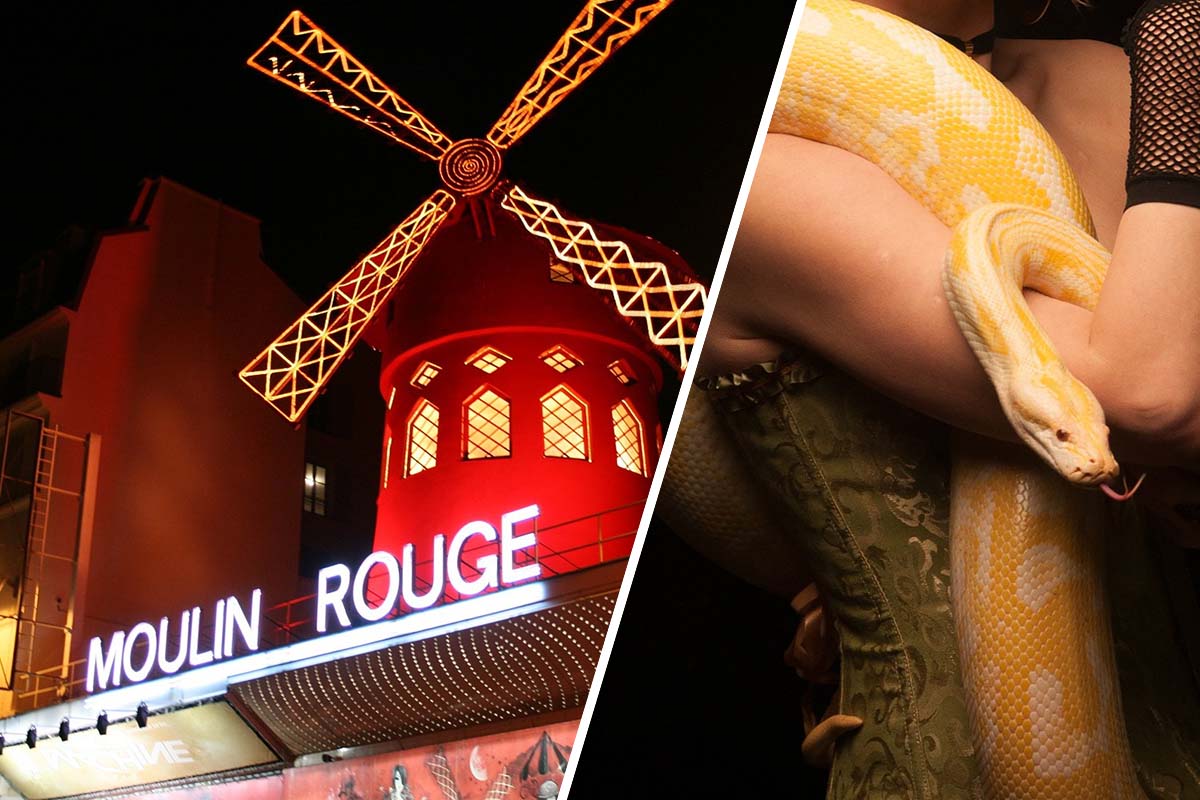 Collage: Links Moulin Rouge Eingang mit roter Windmuehle auf dem Dach. Rechts Frau mit gelber Python im Arm.