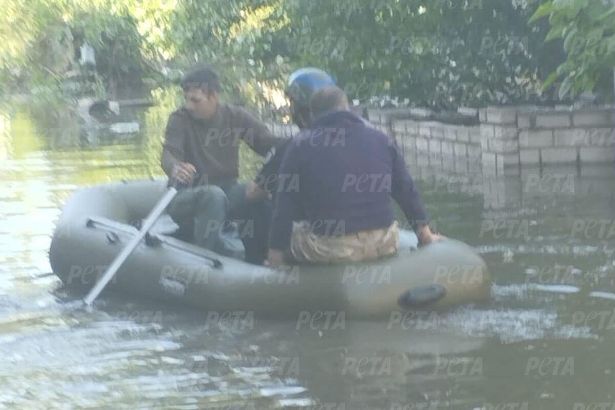 Zwei Personen sitzen in einem Schlauchboot und fahren auf einer ueberschwemmten Strasse.
