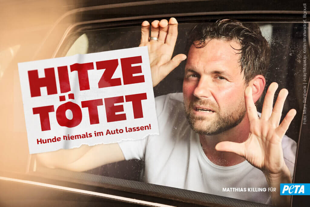 PETA Motiv Matthias Killing