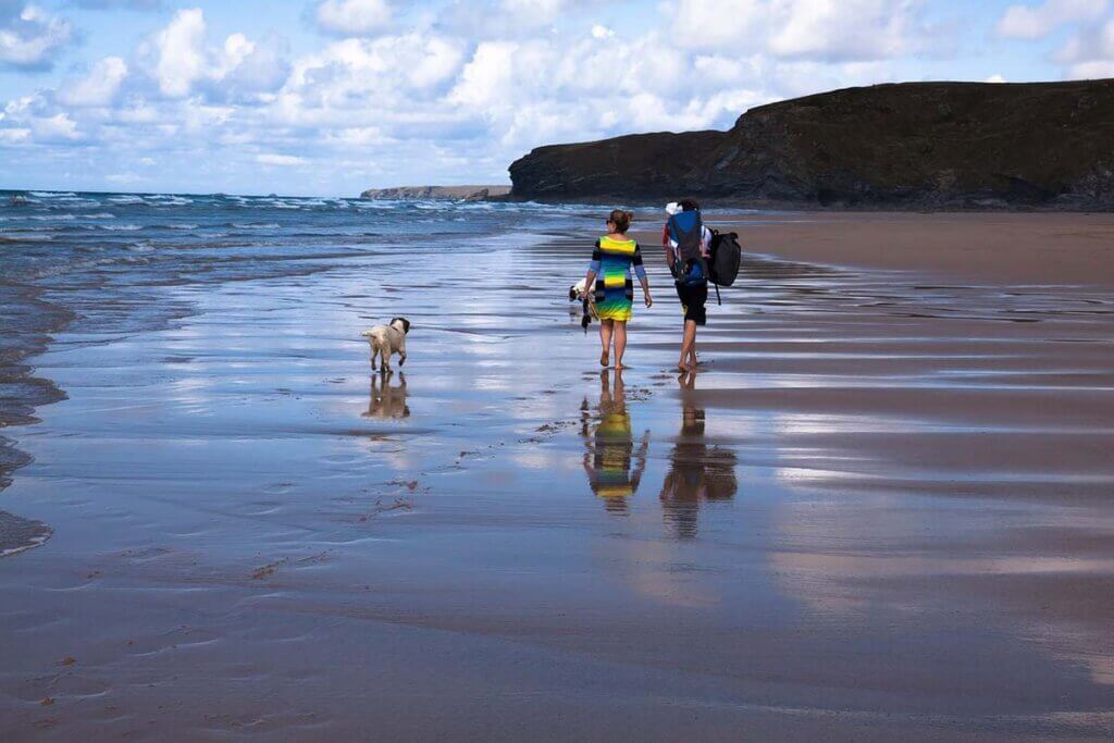 Ein Paar spaziert am Strand und ein Hund läuft nebendran.