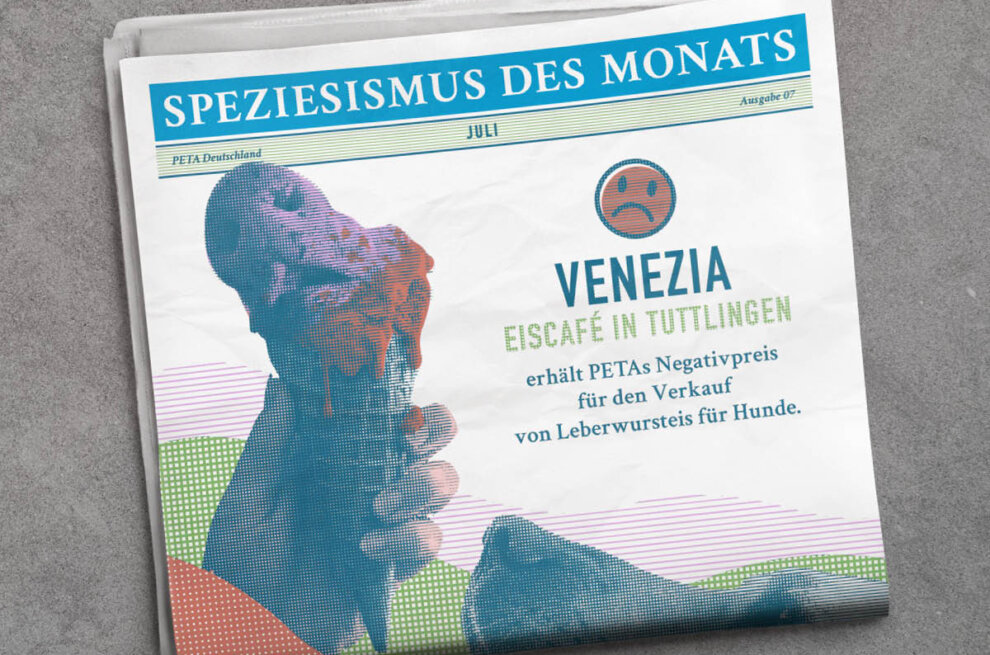 Grafik. Speziesismus des Monats Zeitung mit Eis auf dem Cover.