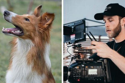 Collage von einem Hund und einem Kameramann