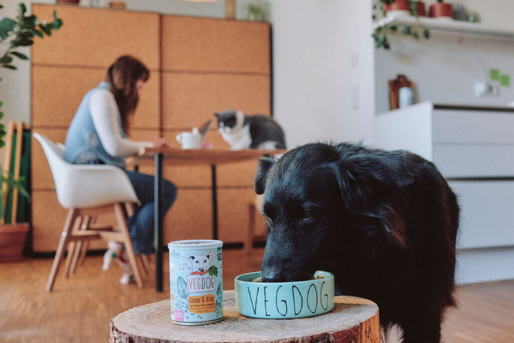 Frau sitzt an einem Tisch, auf der eine Katze liegt. Ein Hund ist im Vordergrund aus einem Napf.