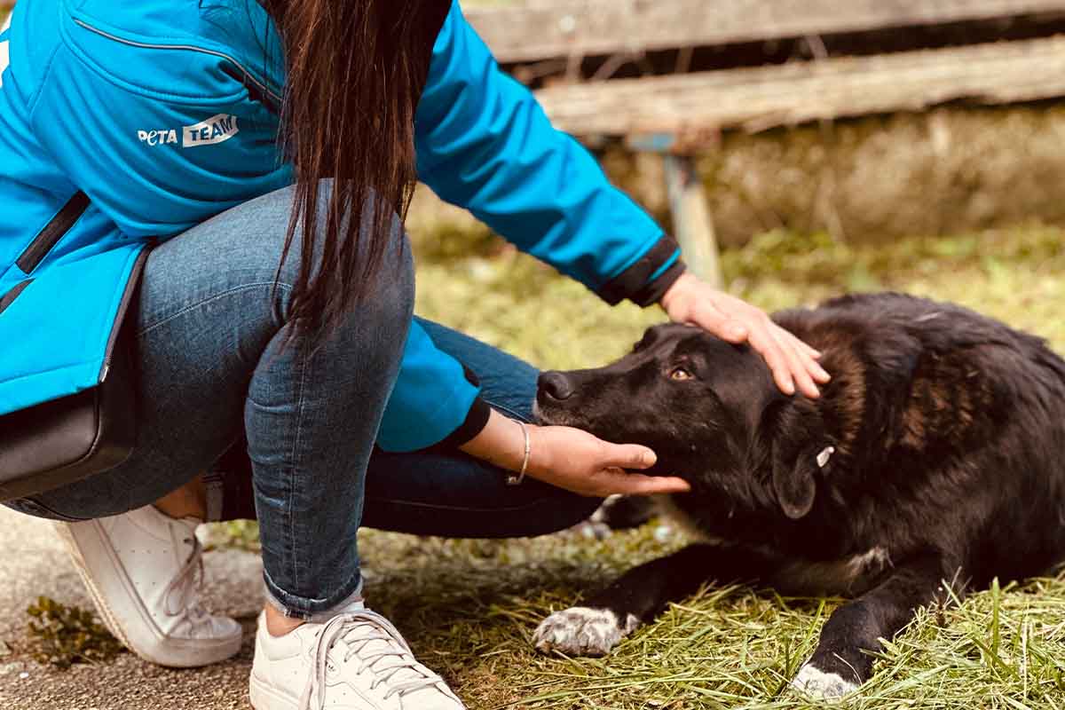 Eine PETA Mitarbeiterin in blauer Jacke streichelt einen schwarzen Hund.