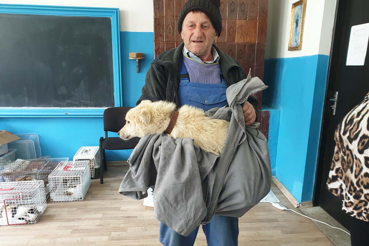 Ein Mann traegt einen Hund in einer Decke vor seinem Bauch.