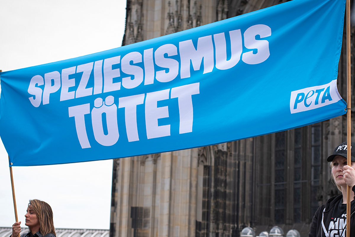 PETA Aktie demonstrieren mit einem grossen blauen Banner, mit dem Titel: Speziesismus toetet.