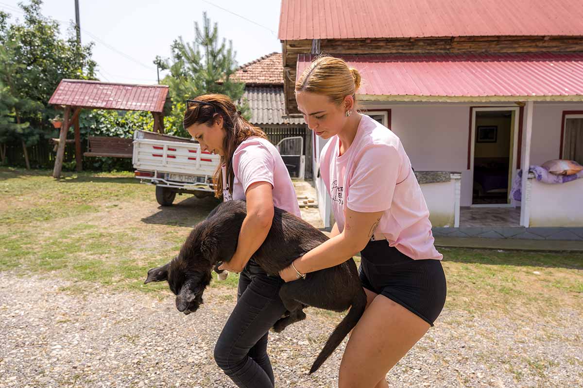 Zwei Frauen tragen einen schwarzen verletzten Hund.