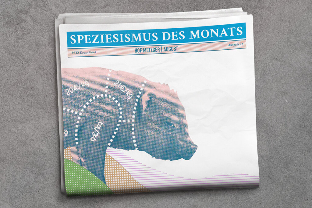 Grafik. Zeitung mit Titel Speziesismus des Monats. Hof Metzger