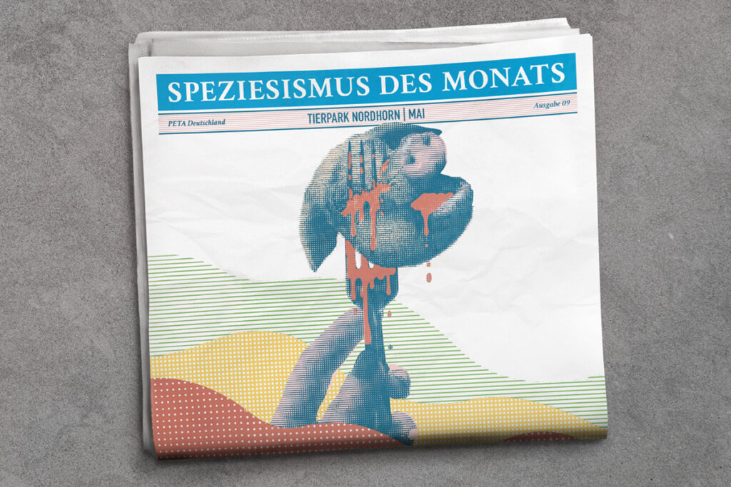 Grafik. Zeitung mit Titel Speziesismus des Monats. Tierpark Nordhorn